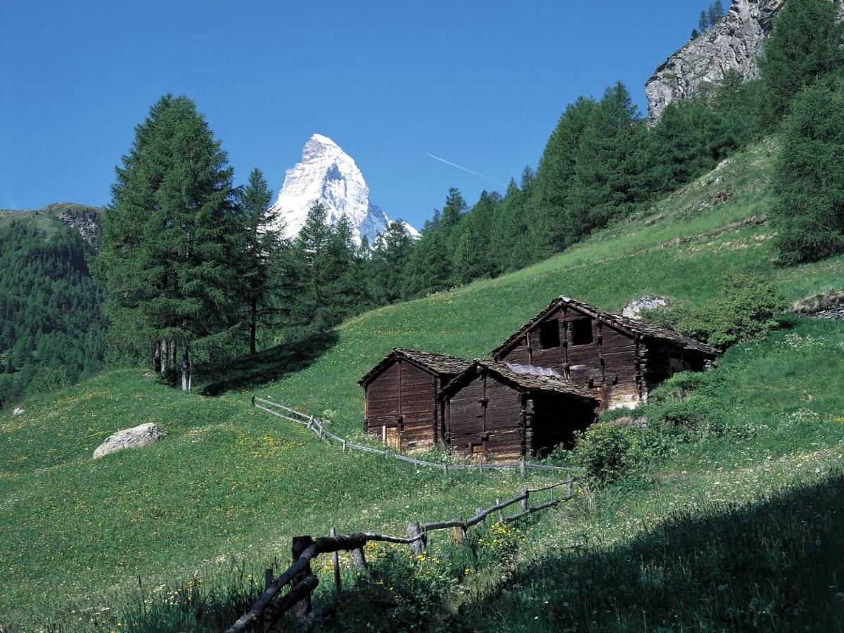 Apartment Armina By Interhome Zermatt Exterior foto